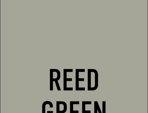 Reed Green