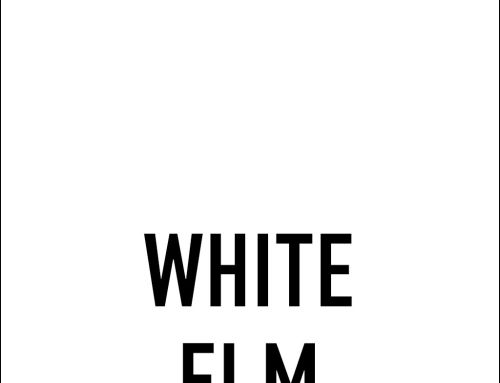 White Elm